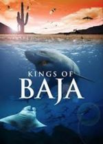 Watch Kings of Baja Xmovies8