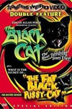 Watch The Black Cat Xmovies8