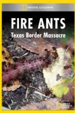 Watch National Geographic Fire Ants: Texas Border Massacre Xmovies8