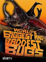 Watch World\'s Biggest and Baddest Bugs Xmovies8