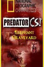 Watch Predator CSI Elephant Graveyard Xmovies8