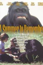 Watch A Summer to Remember Xmovies8