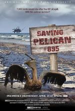Watch Saving Pelican 895 (Short 2011) Xmovies8