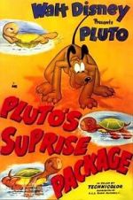 Watch Pluto\'s Surprise Package Xmovies8