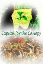 Watch Capital for the Canopy Xmovies8