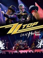 Watch ZZ Top: Live at Montreux 2013 Xmovies8