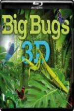 Watch Big Bugs in 3D Xmovies8