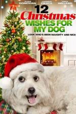 Watch 12 Christmas Wishes For My Dog Xmovies8