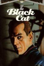 Watch The Black Cat Xmovies8