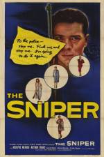 Watch The Sniper Xmovies8