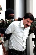 Watch The Rise and Fall of El Chapo Xmovies8