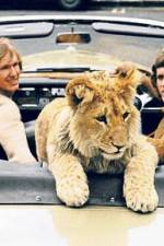 Watch The Lion Cub from Harrods Xmovies8