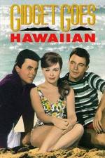 Watch Gidget Goes Hawaiian Xmovies8