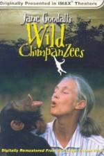 Watch Jane Goodall's Wild Chimpanzees Xmovies8