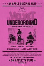 Watch The Velvet Underground Xmovies8