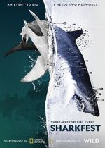 Watch Man vs. Shark Xmovies8