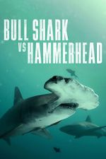 Watch Bull Shark vs Hammerhead Xmovies8