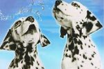 Watch 101 Dalmatians Sing Along Xmovies8