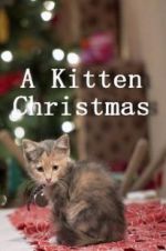 Watch A Kitten Christmas Xmovies8