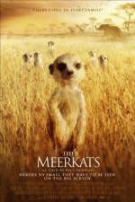 Watch The Meerkats Xmovies8