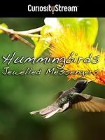 Watch Hummingbirds Jewelled Messengers Xmovies8