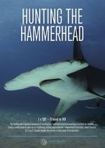 Watch Hunting the Hammerhead Xmovies8