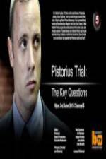 Watch Pistorius Trial: The Key Questions Xmovies8