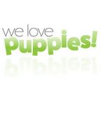 Watch We Love Puppies Xmovies8