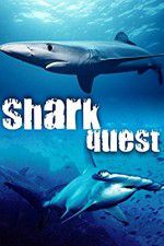 Watch Shark Quest Xmovies8