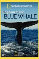 Watch National Geographic Kingdom of Blue Whale Xmovies8