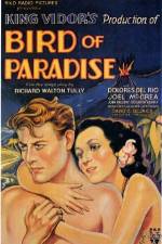 Watch Bird of Paradise Xmovies8