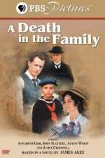 Watch A Death in the Family Xmovies8