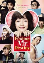 Watch Finding Mr. Destiny Xmovies8