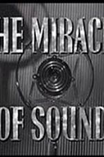 Watch The Miracle of Sound Xmovies8