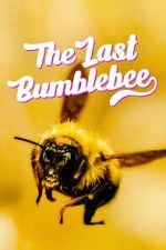 Watch The Last Bumblebee Xmovies8