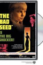 Watch The Bad Seed Xmovies8