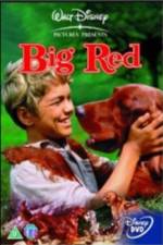 Watch Big Red Xmovies8