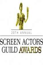 Watch The 20th Annual Screen Actors Guild Awards Xmovies8