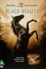 Watch Black Beauty Xmovies8