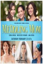 Watch Meddling Mom Xmovies8