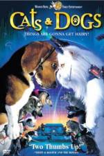 Watch Cats & Dogs Xmovies8