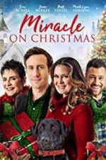 Watch Miracle on Christmas Xmovies8