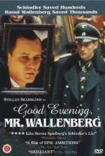 Watch Good Evening, Mr. Wallenberg Xmovies8