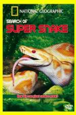 Watch National Geographic Search For The Super Snake Xmovies8