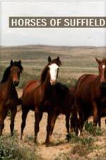 Watch Horses of Suffield Xmovies8