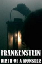Watch Frankenstein: Birth of a Monster Xmovies8