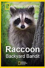 Watch Raccoon: Backyard Bandit Xmovies8