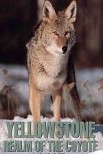 Watch Yellowstone: Realm of the Coyote Xmovies8