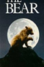 Watch The Bear - (L'ours) Xmovies8