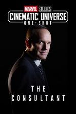 Watch Marvel One-Shot: The Consultant Xmovies8